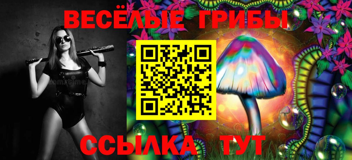 Ачинск  Галлюциногенные грибы GOLDEN TEACHER  Вход с VPN 